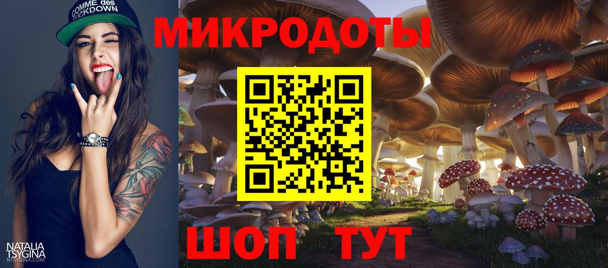 Сокол  Галлюциногенные грибы Psilocybine cubensis  Вход с VPN 